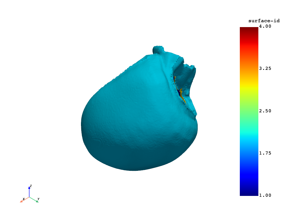 mechanics simulator leftventricle pr