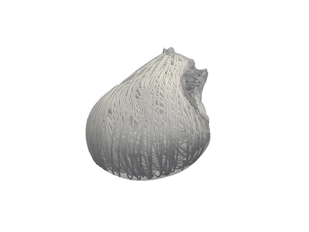 mechanics simulator leftventricle pr